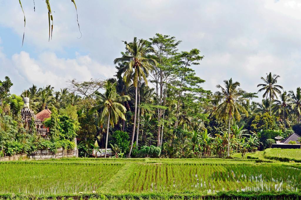 Ubud Kartini Hostel Luaran gambar