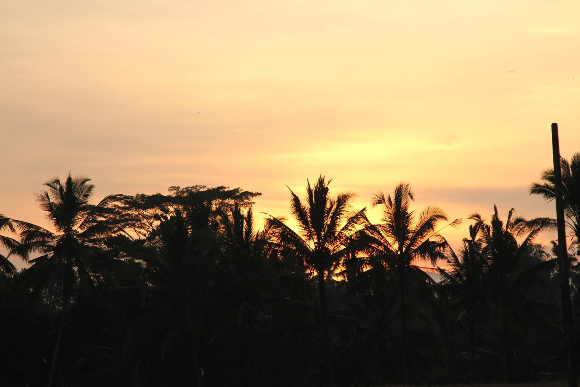 Ubud Kartini Hostel Luaran gambar
