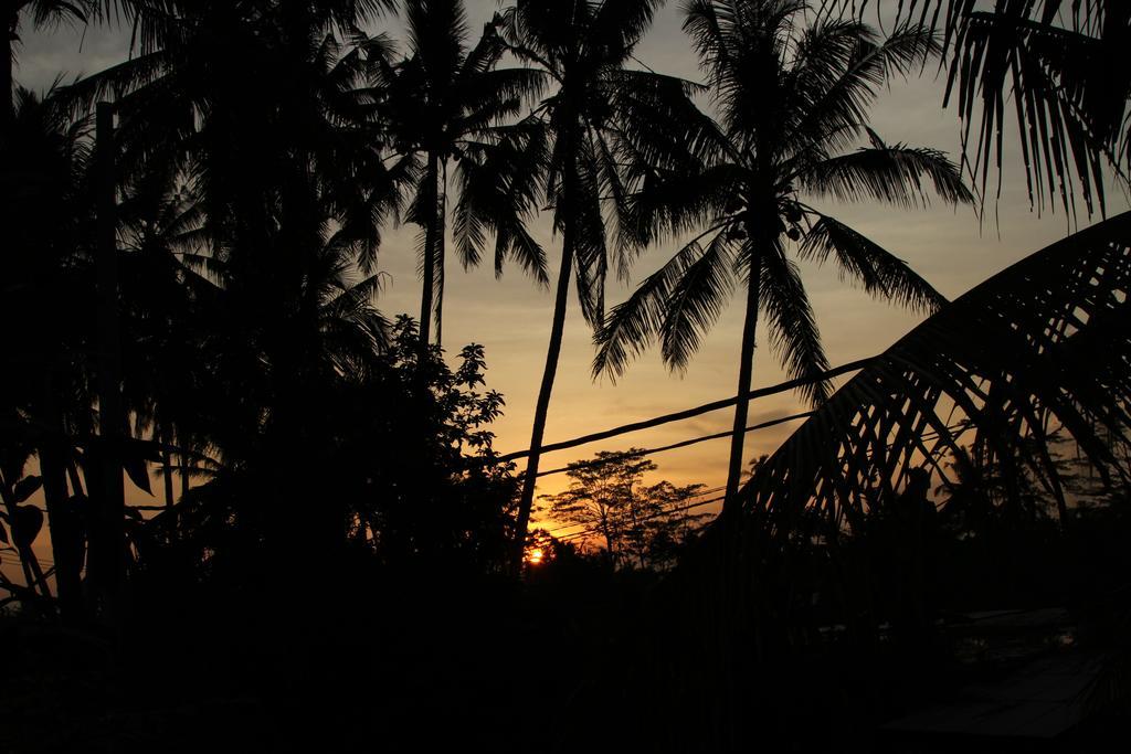 Ubud Kartini Hostel Luaran gambar